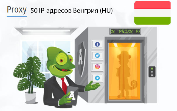 50 прокси оптом Hungary (hu) Стоимость 50 пакетных прокси Венгрия (HU)